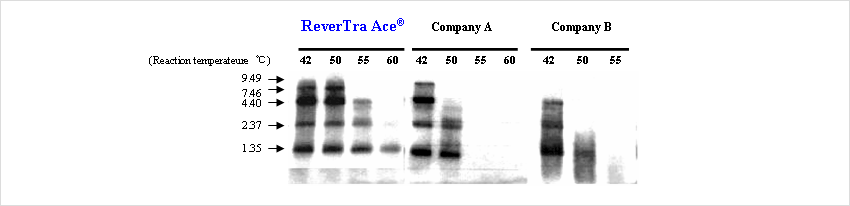 Elongation capability of RNase H minus RTases at various temperatures